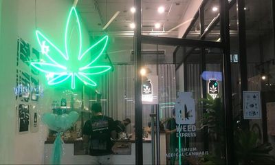 Thailand’s Cannabis Policy Experiment