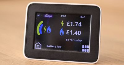 Brits have spent £645 on new appliances in the past year in a bid to be more energy efficient