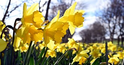 Scotland could bask in 20C weather by Easter weekend after spring freeze thaws