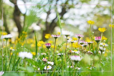 When do the clocks go forward and when does spring start in 2024?