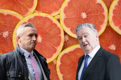 Top Scottish lawyer in bizarre Twitter spat with SNP MP over missing grapefruits