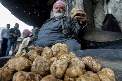 Islamic State group kills 15 truffle hunters in Syria: monitor