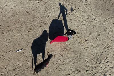 AP Week in Pictures: Latin America and Caribbean