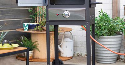 Aldi garden Specialbuys including pizza oven and egg BBQ cut by 40% with special code