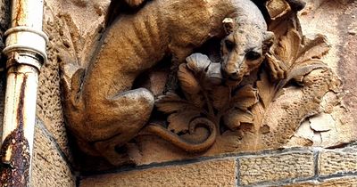 Glasgow's mysterious cat carvings that have left us scratching our heads
