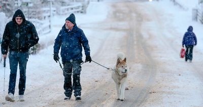 Arctic air ‘lurking’ near Ireland to bring freezing plume in days amid Met Eireann weather warning