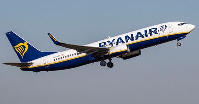 Ryanair issues hilarious comeback to customer's extra luggage charge hack