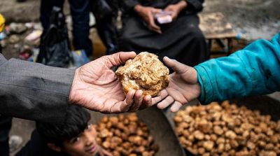 ISIS Group Kills 15 Truffle Hunters in Syria, Says Monitor