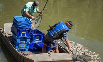 Darling-Baaka River Menindee cleanup begins six days after mass fish kill