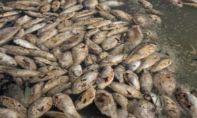 At Menindee, the lifeblood of the people has turned to bitter sludge