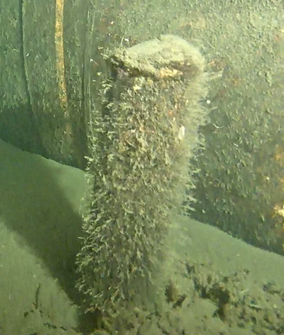 Mystery object found on seabed could provide vital clue to who blew up Nord Stream pipeline