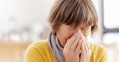 When does hay fever season start?