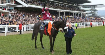 Cheltenham Gold Cup-winning jockey Bryan Cooper announces retirement