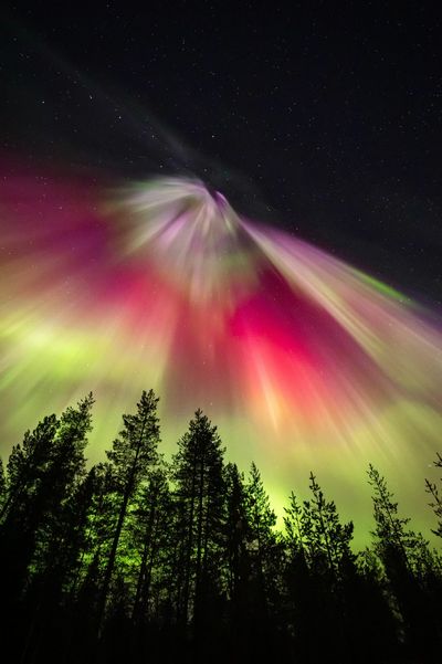 10 gorgeous recent photos of the Northern Lights in March 2023