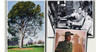 Three Canberra artists are finalists in the Gallipoli Art Prize