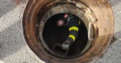 Five screaming kids call for help after getting stuck in cold, dark and wet storm drain