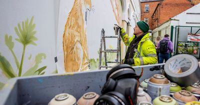 Lisburn's Sam McBratney murals to attract global visitors
