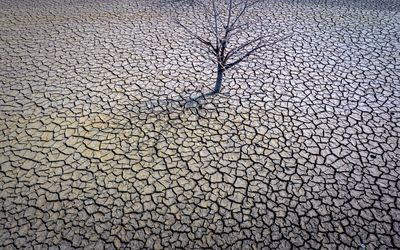 UN head says survival depends on how people manage water