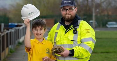 Pet tortoise found in 11,000 volt electricity substation reunited with its owner - seven months after escaping from the family home