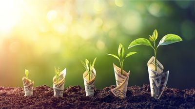 Best Money Market Accounts - August 2025