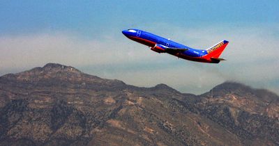 Passenger helped plane return to airport after pilot fell ill