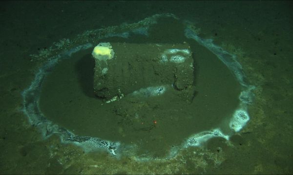 High concentrations of DDT found across vast swath of California seafloor