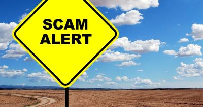How to spot a scam email: five tell-tale signs to look out for