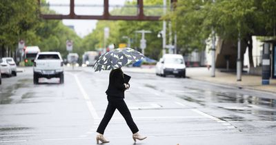 Severe thunderstorm warning issued for Canberra