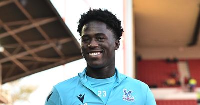 Hull City star sends 'ability' message over Crystal Palace loanee after slow start to loan spell