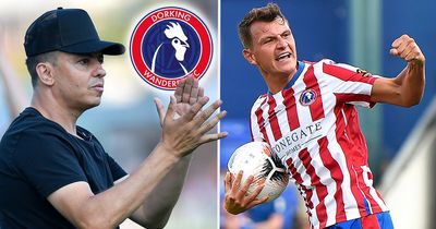 Non-league success story Dorking Wanderers targeting Premier League dream