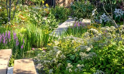 Your garden should be a multilayer food forest, says RHS horticulturist