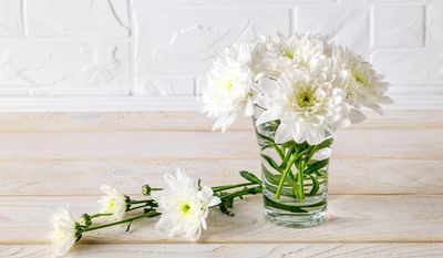 5 simple tips for how to take care of chrysanthemums in a vase - make this blowsy bloom last longer