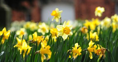 Bristol weather expected to be warm and dry in time for Easter weekend