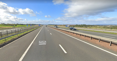 Man dies following horror crash on M8 as police appeal for information