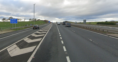 Teenager dies after crashing car into stationary lorry on M8 near Lanarkshire