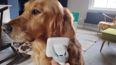 INSE P20 Pro Dog Grooming Kit review