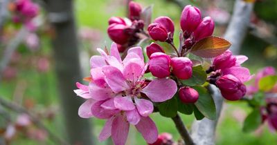 Two life lessons I'll never forget