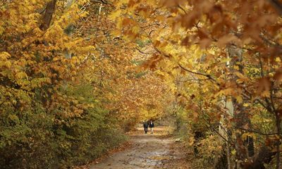 Autumn has been totally skewwhiff in Sydney this year, devoid of its customary cadence and meter