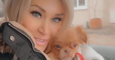 S Club 7 star Jo O'Meara in tears as she adopts adorable dog from Romania