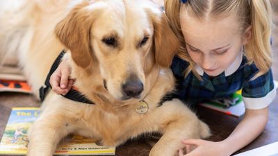 Story Dogs reading program provides positive, calm influence on children learning to read