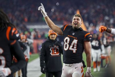 Bengals still expected to target veteran TEs in free agency