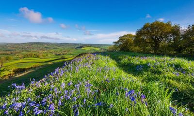 Spring in your steps: four great UK walks that banish winter
