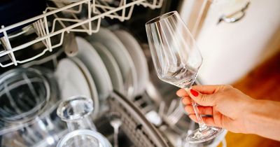Expert debunks rule on rinsing dishes before putting in the dishwasher