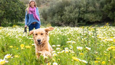 Tired of your dog running off when it's time to go on the leash? This trainer shares three games that'll solve your problem