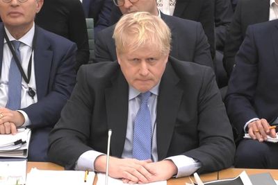 I believe Boris Johnson told MP partygate inquiry the truth, Michael Gove says