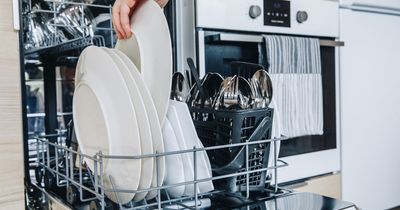Dishwasher argument resolved as common myth debunked by experts