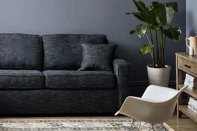 A viral couch-cleaning hack that works