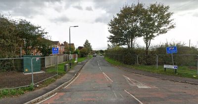 Young girl taken to hospital after being 'attacked by dogs'