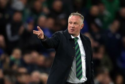 Michael O’Neill rues missed chances as Northern Ireland suffer Finland setback