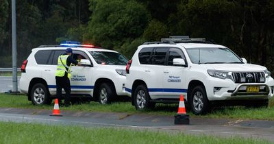 Fatal crash on M1 Pacific Motorway: investigation launched